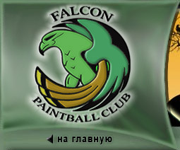 Falcon Paintball club